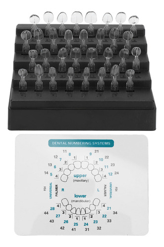 Juego De 32 Moldes Para Carillas Dentales, Diferentes Formas