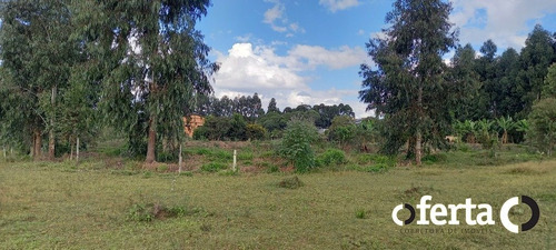 Imagem 13 de 15 de Chacara Com Casa - Mariental - Ref: 712 - V-712