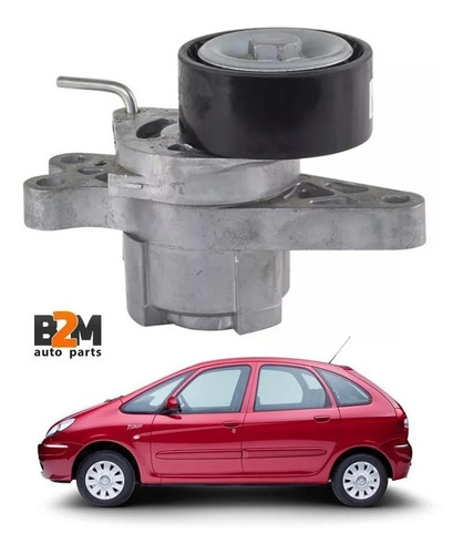 Tensor Poly V Skf Citroen Xsara Picasso 1.6 04/01-10/04