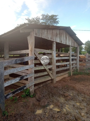 Imagem 6 de 9 de Venda Sítio Machadinho D'oeste Em Rondônia - Sia348