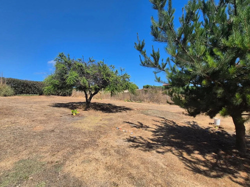 Venta Parcela 5000 Mts San Antonio