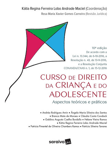 Curso De Direito Da Criança E Do Adolescente, De Kátia Regina Ferreira Lobo Andrade Maciel - (org.). Série Na, Vol. Na. Editora Saraiva, Capa Mole, Edição 10 Em Português, 2016