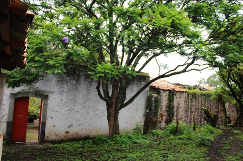 Imagen 6 de 14 de Rancho Ganadero En Venta En Nopala Hidalgo.