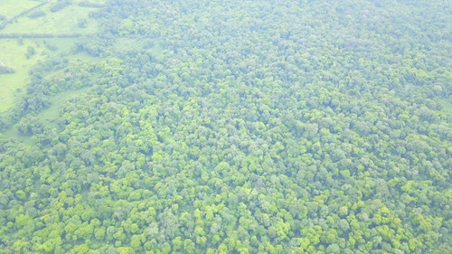 Imagen 4 de 10 de Excelente Finca, Lo Que Busca , Agrícola, Ganadera, Bosque