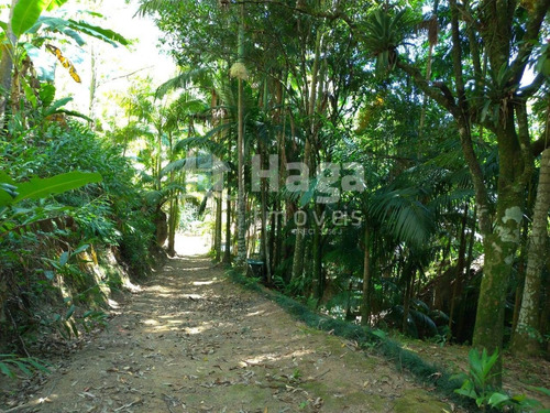 Imagem 30 de 30 de Chácara À Venda Em Canelinha/sc - 1389c