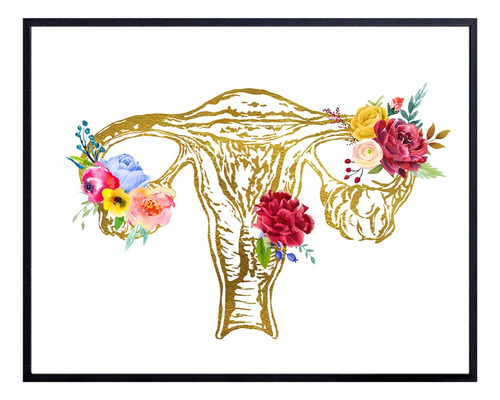 Arte De Pared De Fertilidad De Anatomía Femenina Regal...