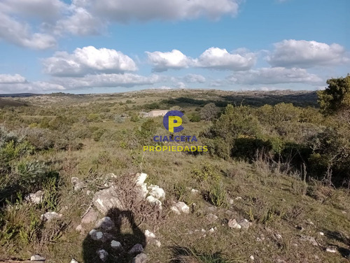 Imagen 5 de 15 de 312 Hectáreas Con Vista Y Arroyo