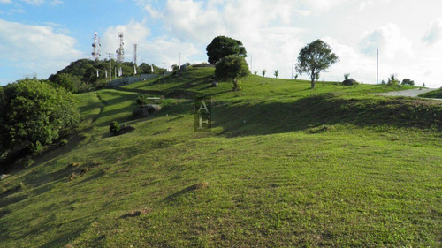 Terreno Para Venda Em Morrinhos Garopaba-sc - Tv361