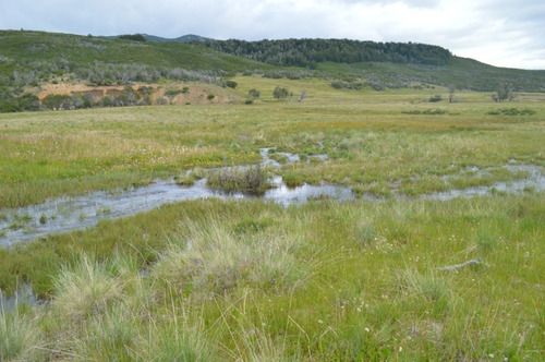 Imagen 4 de 6 de Vendo Muy Buen Campo En Cholila De 2050 Has