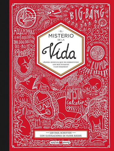 MISTERIO DE LA VIDA, EL, de Schutten, Jan Paul/Rieder, Floor. Editorial Maeva, tapa pasta dura, edición 1a en español, 2017