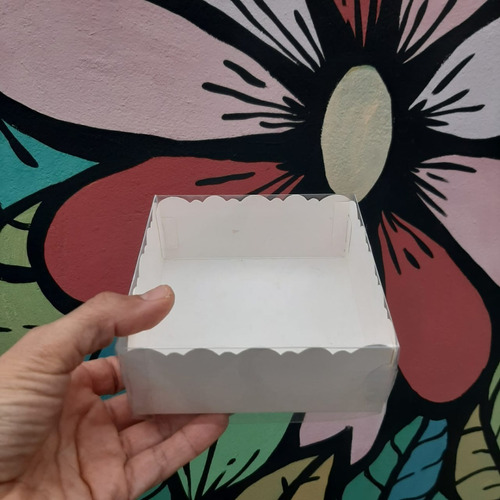 Cajas C/tapa De Acetato Para Cookies (12x12x5) X 10 Und.