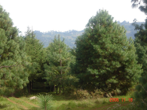 Venta De Lotes Campestres Sin Enganche Todas Las Medidas