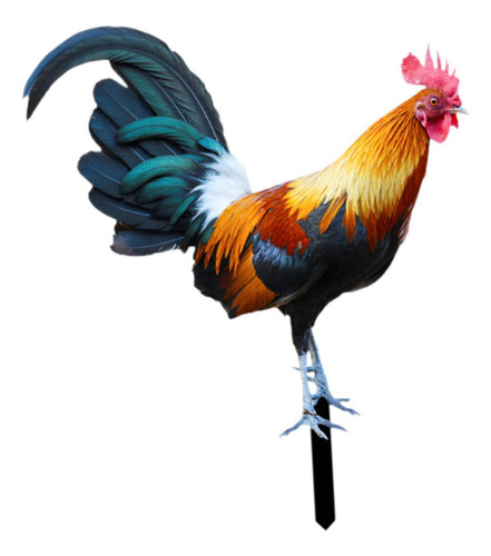 Wf/ Estaca Jardín Gallo, Adorno Pollo, 21,5 Cm X 25 Cm