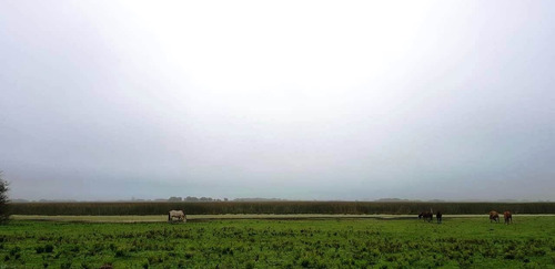Imagen 19 de 21 de Campo En General Madariaga-