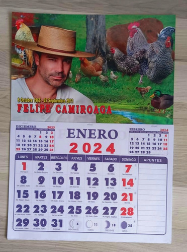 Imagen 2 de 2 de Calendario De Felipe Camiroaga