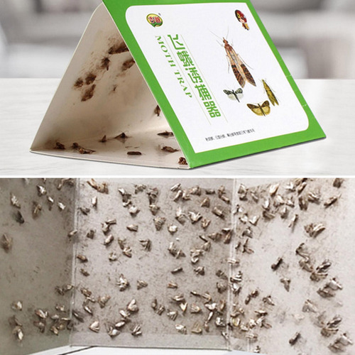 Papel De Polilla Pegajosa 5 Piezas De Prevención Antipolilla