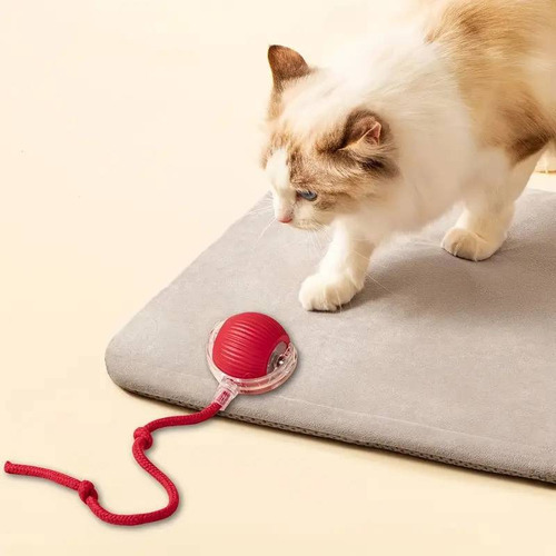 Juguete Interactivo Pelota Automática Para Gato Recargable Rojo