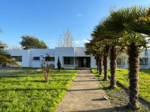 Los Aromos De Don Luis
