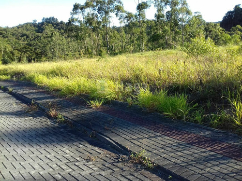 Terreno A Venda No Centro Em Guabiruba/sc - 954