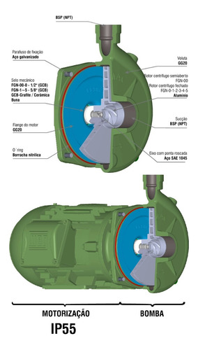 Motobomba Centrífuga Fgn-2 2cv Motor Weg I P 55 Trif Famac