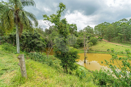 Imagem 26 de 30 de Sitio Rural - Praia Paulistanas - Reo639076