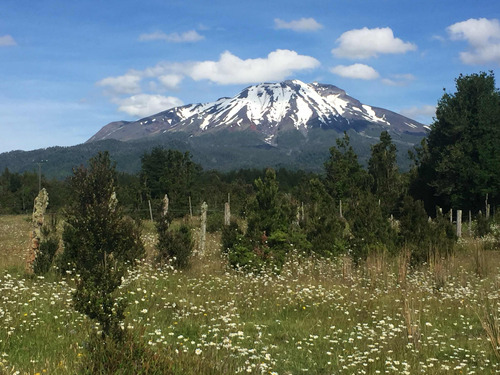 Hermosa Parcela Plana Puerto Varas En Rio Pescado