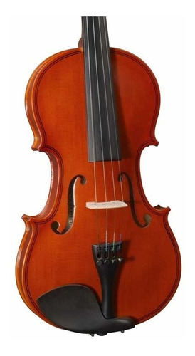 Violin Cervini Hv100 4/4 Estuche Arco Y Resina Cuota