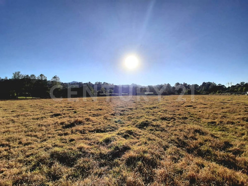 Terreno En Venta, Cuadrilla De Dolores.