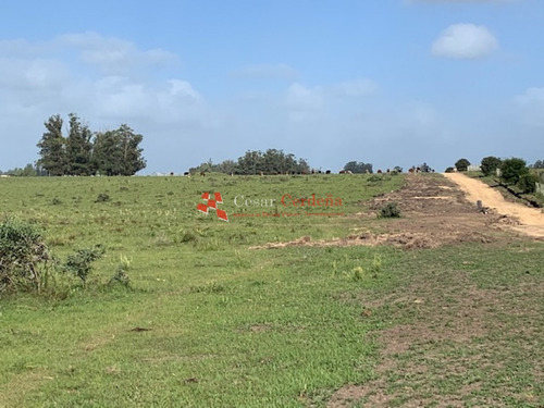 Venta - 5 Has En Sierra De Los Caracoles- Ref: 1568