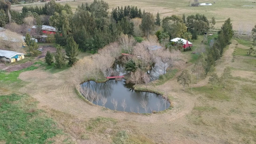 Imagen 7 de 8 de Chacra En Venta Con Emprendimiento Avícola. Ciudad De Chascomus. 3 Ha