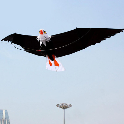 3d Águila Cometa Diversión Enorme Pájaro Los 200x70cm
