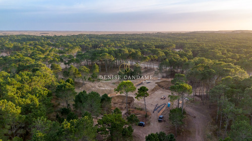 Lote En Venta Pinamar Norte Barrio Bosques