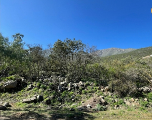 Curacaví, Venta Parcela Aurora Reserva 80 Lr
