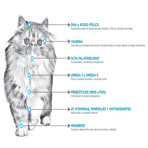 Imagen 3 de 5 de Croquetas Alimento Gato Nupec Kitten 3 Kg Edad Temprana