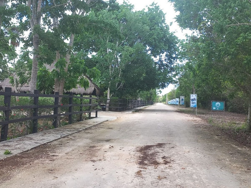 Terreno En Venta En Ruta De Los Cenotes