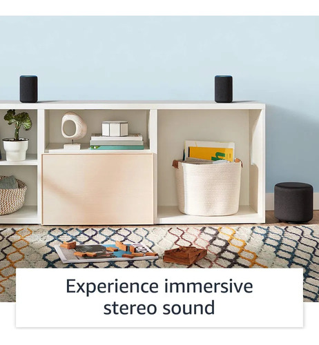 Nuevo//subwoofer Echo Sub Para Echo: Graves Potentes