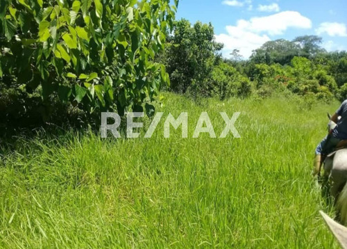 Imagen 3 de 4 de Venta De Finca Sector Capitanejo