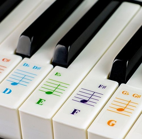 Color Piano Stickers For 49 / 61/ 76 / 88 Key Keyboards  Tr