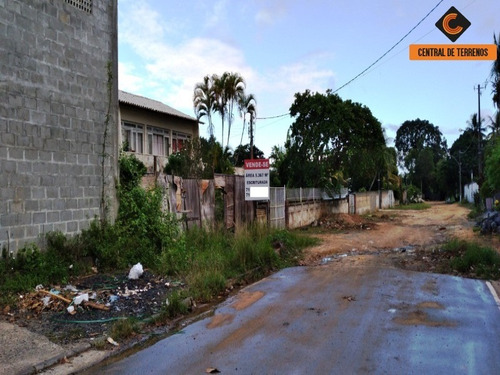 Imagem 5 de 15 de Terreno Próximo Ao Bosque Da Paz - Te00443 - 69487473