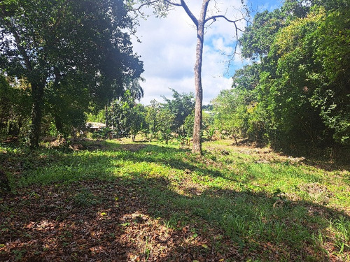 El Terreno Secreto. Cabrera