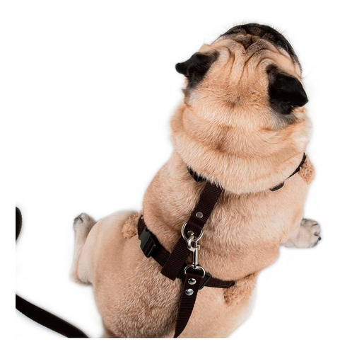 Pretal Arnes Para Perros Eco Cuero Jaguer Rock
