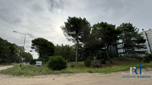Lote Multifamiliar En Venta Zona Norte Playa La Frontera