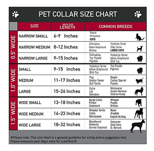 Collar Para Perro Rugrats 9-15puLG Dc-bksr-wrr001-1.0-s