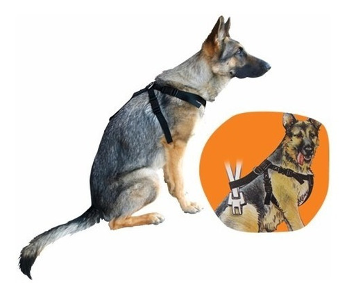Cinturon Seguridad Completo Para Perros Arnés Pretal *