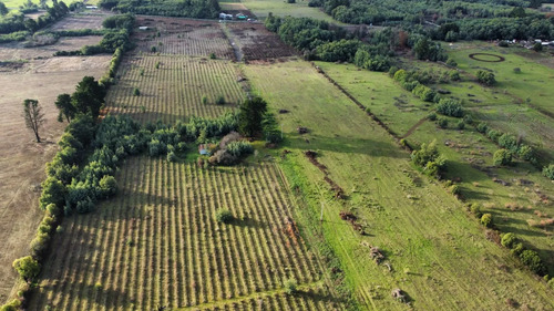 24,15 Hectareas Proyecto Agricola - Inmobiliario San Ignacio