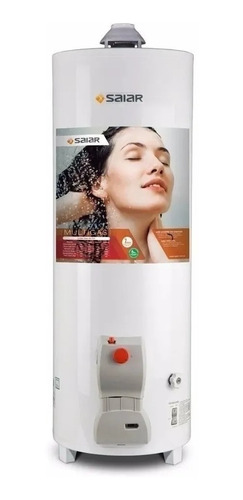 Imagen 1 de 3 de Termotanque Multigas De Pie Saiar Tpg120msa 120 Lts Oferta !