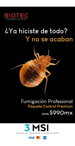Imagen 1 de 1 de Fumigación Para Chinches De Cama