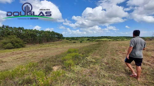 Imagem 15 de 15 de 4 Hectares Ótima Localização - 1714