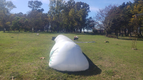 Imagen 9 de 14 de Campo Mixto, Ideal Haras Ptdo Punta Indio
