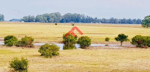 Venta De Chacra En Jose Ignacio, Medellin.- Ref: 1682